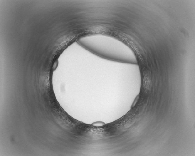 X0000114510403200911301152