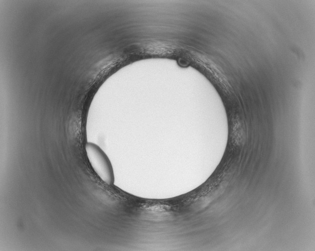 X0000114510407200911301152