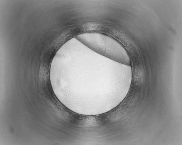 X0000114510409200911301152