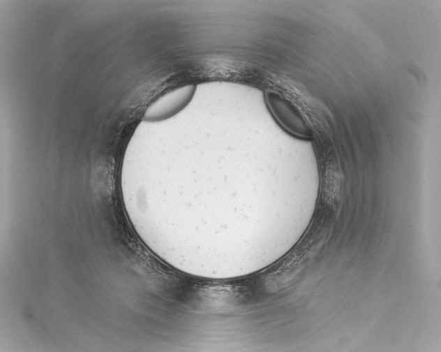 X0000114510413200911301152