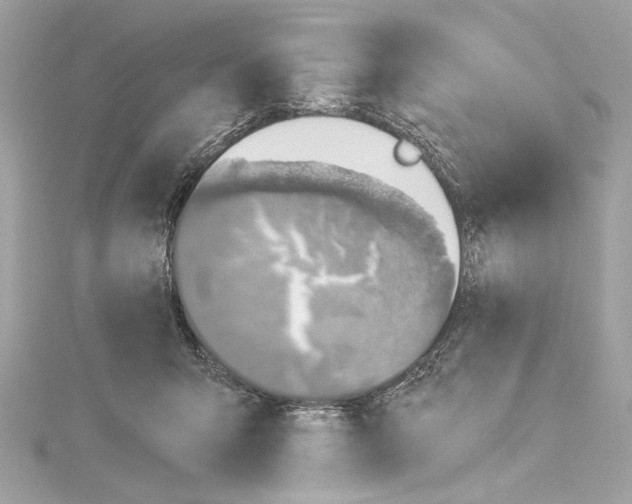 X0000114510415200911301152