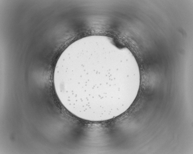 X0000114510419200911301152