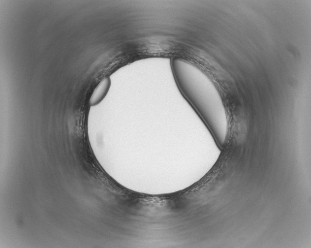 X0000114510421200911301152