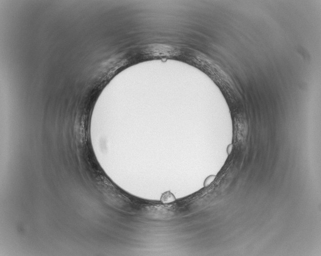 X0000114510422200911301152