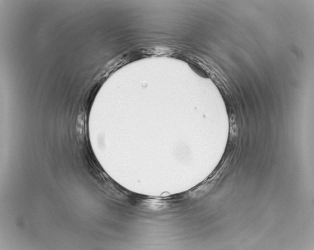 X0000114510425200911301152