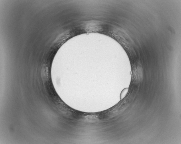 X0000114510426200911301152