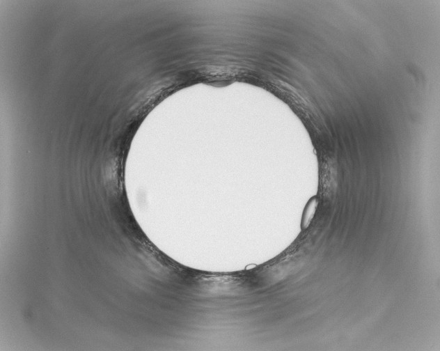 X0000114510428200911301152