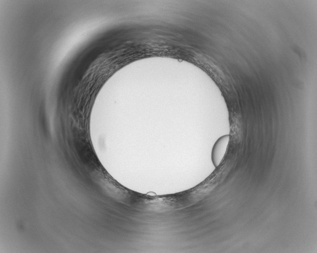 X0000114510430200911301152