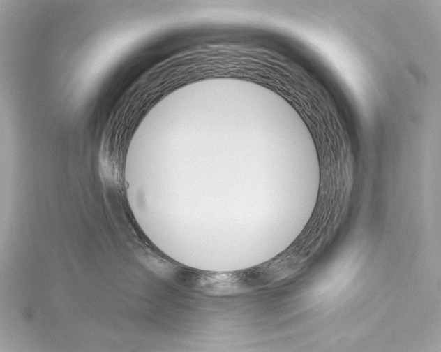 X0000114510431200911301152