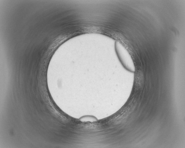 X0000114510433200911301151