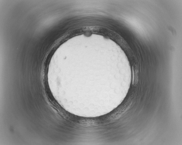 X0000114510435200911301151