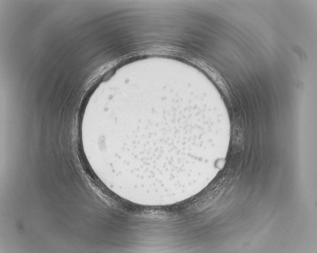 X0000114510437200911301151