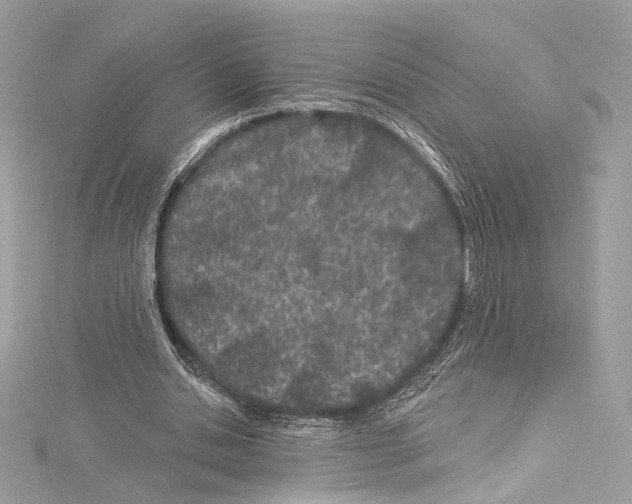 X0000114510438200911301151