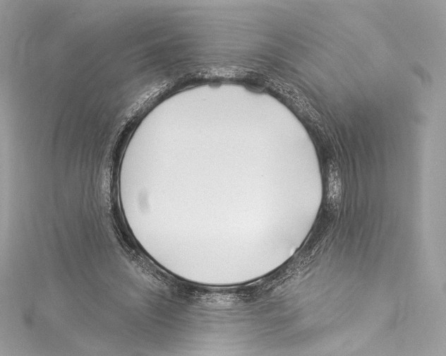 X0000114510444200911301151