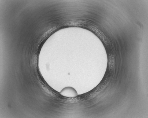 X0000114510445200911301151