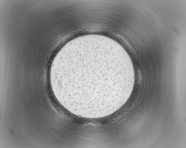 X0000114510447200911301151