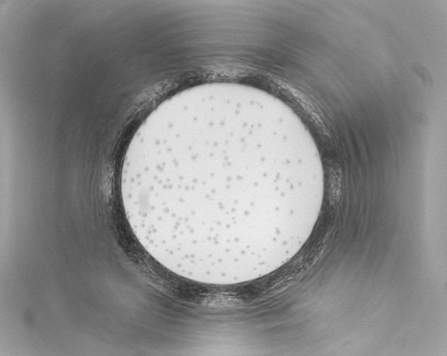 X0000114510451200911301151