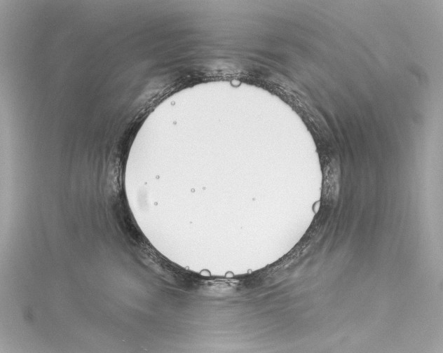 X0000114510474200911301152