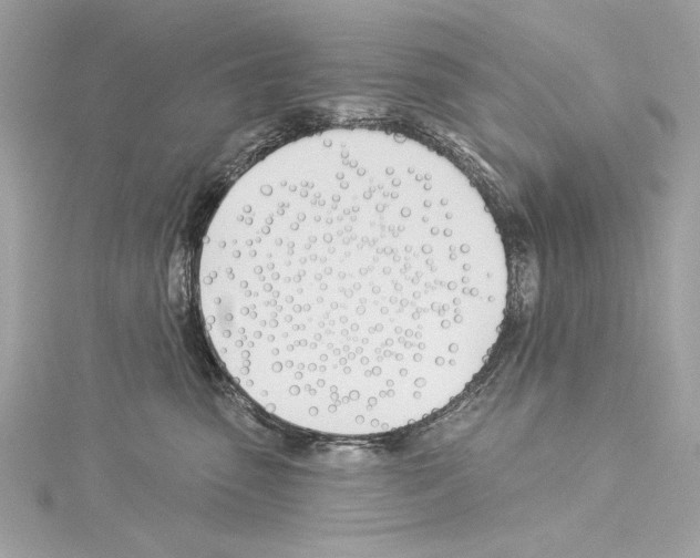 X0000114510475200911301152