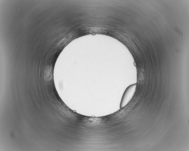 X0000114510478200911301152