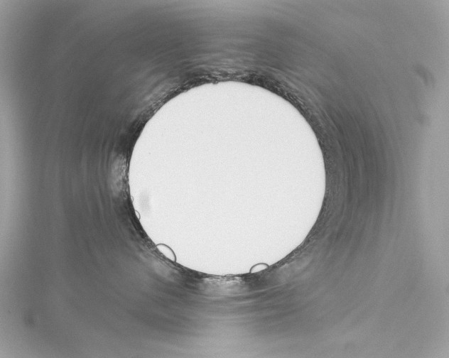 X0000114510480200911301152