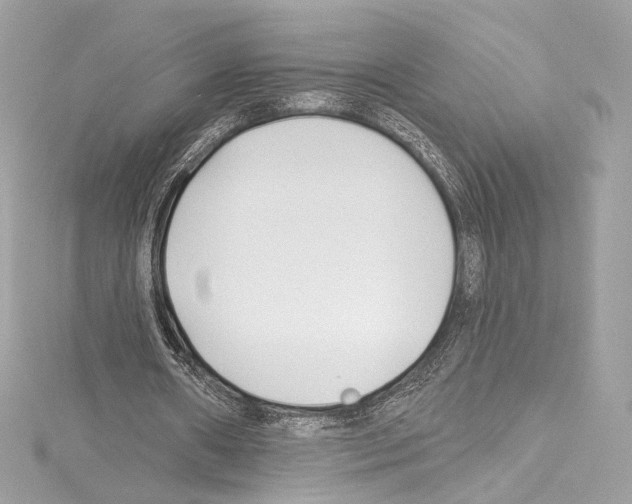 X0000114510482200911301151