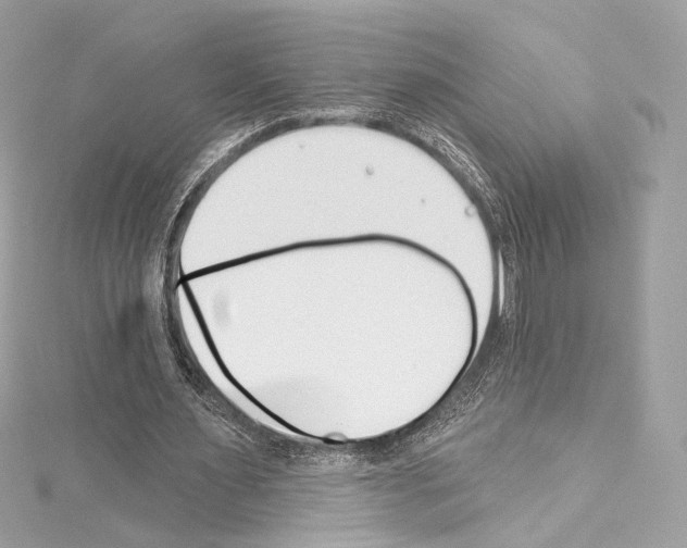 X0000114510483200911301151