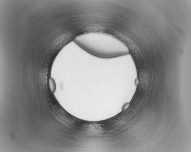 X0000114510501200911301151