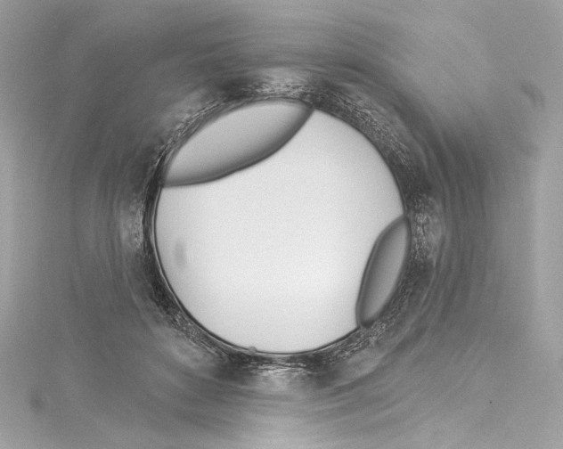 X0000114510504200911301151