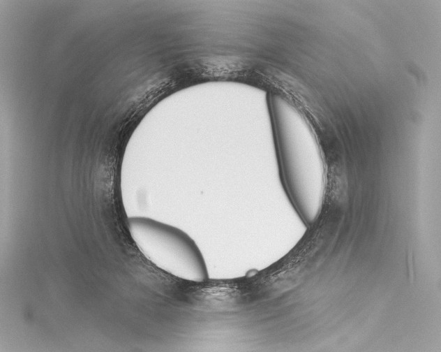 X0000114510505200911301151