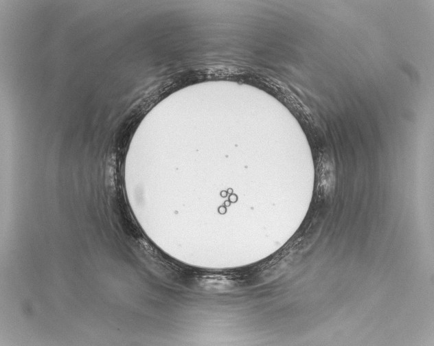 X0000114510519200911301151