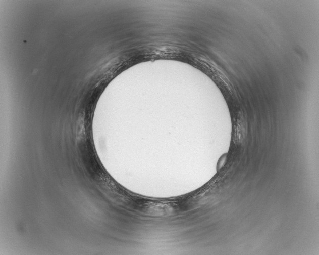 X0000114510520200911301151