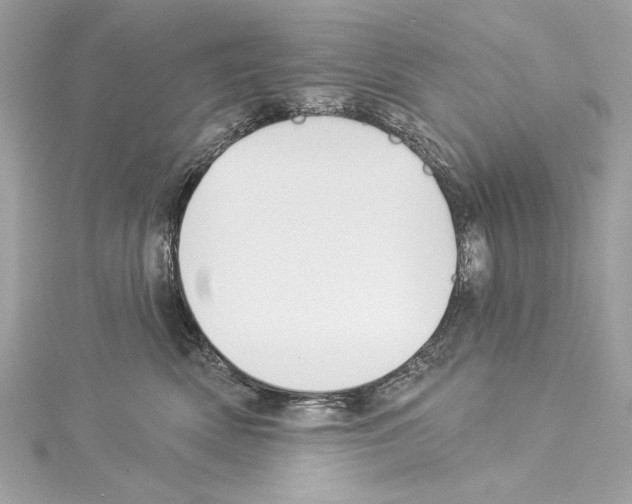 X0000114510522200911301151