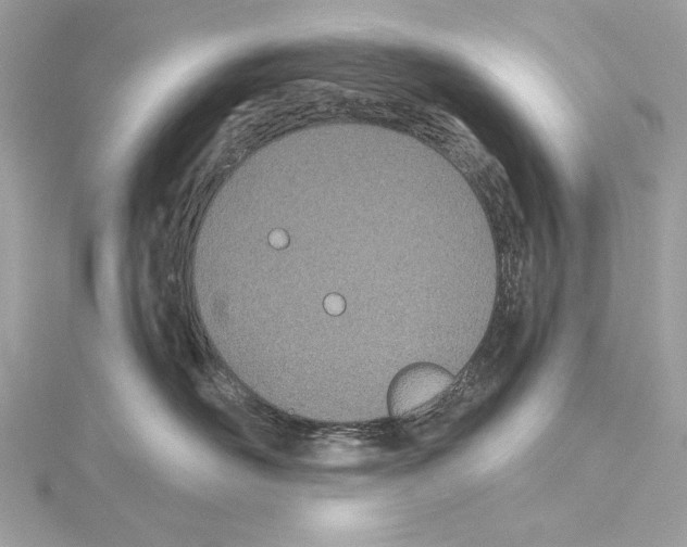 X0000114510526200911301151