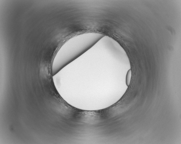 X0000114510528200911301150