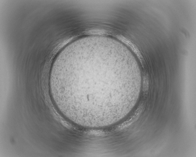 X0000114510529200911301150