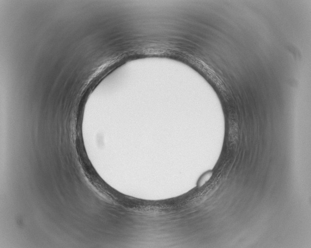 X0000114510530200911301150