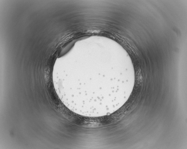 X0000114510559200911301150