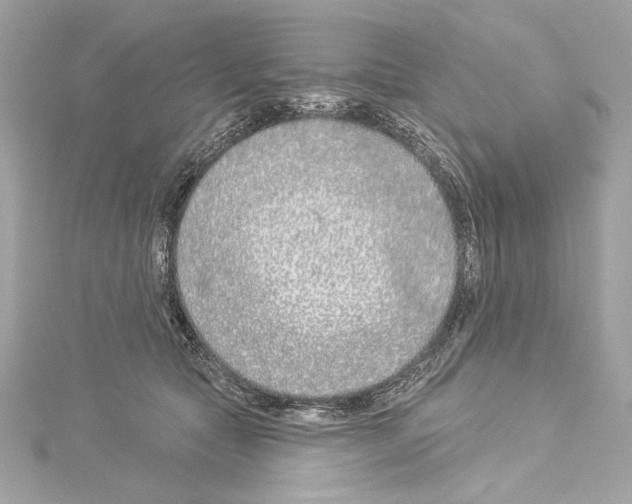 X0000114510561200911301150