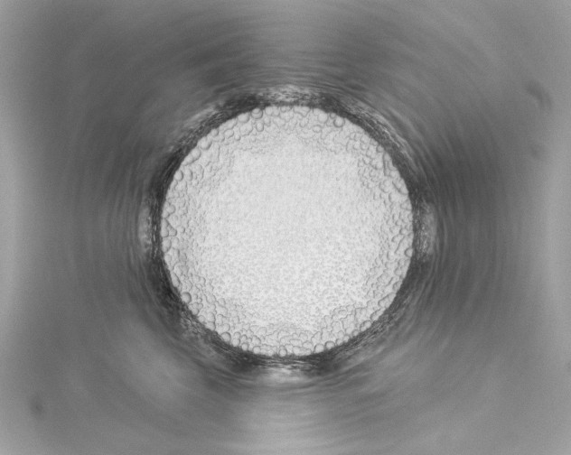 X0000114510569200911301150