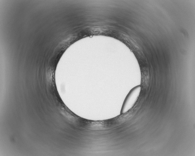 X0000114510574200911301150