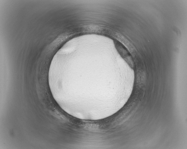 X0000114510577200911301150