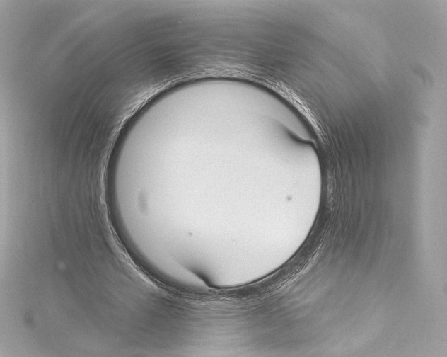 X0000114510581200911301150