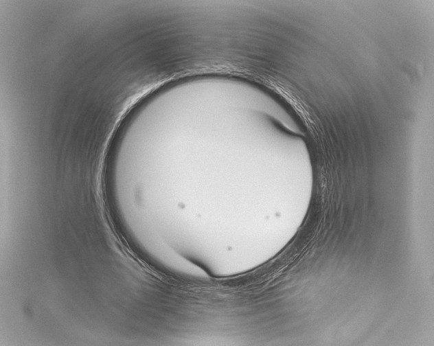 X0000114510583200911301150