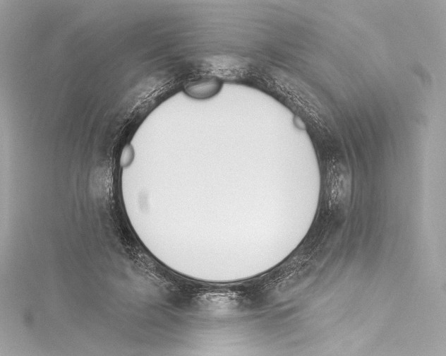 X0000114510595200911301150