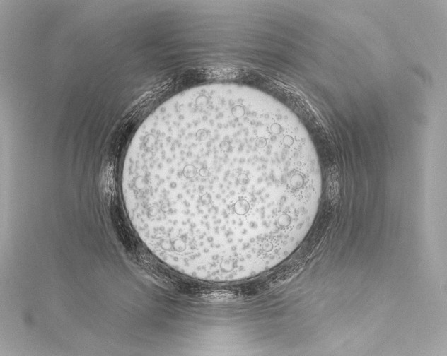 X0000114510598200911301150