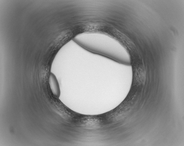 X0000114510601200911301150