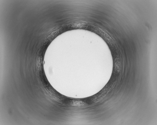 X0000114510605200911301149