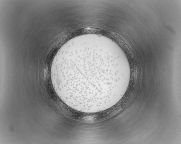 X0000114510610200911301149