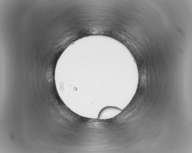 X0000114510620200911301149